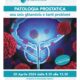 Evento patologia prostatica
