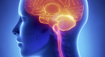 Neurologia