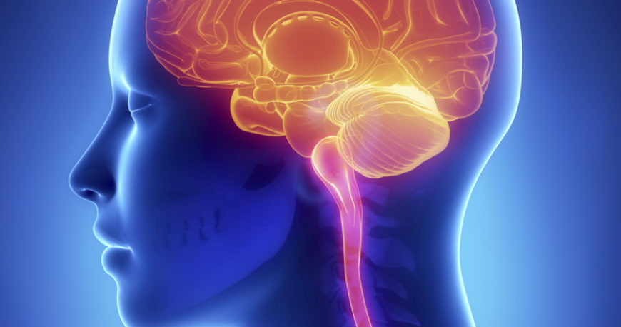 Neurologia
